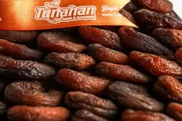 Malatya Kayısı Satın Al: Güvenilir ve Kaliteli Kayısı Alışverişi Rehberi