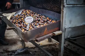 Tunahan Kayısı Sipariş: Malatya Kayısısının Lezzetini Evinize Getirin